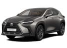 Ворсовые коврики на Lexus NX II 2021 - 2025 в Самаре