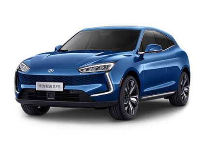 EVA коврики на Seres SF5 2019&nbsp;-&nbsp;2022 в Самаре