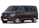 Ворсовые коврики на Volkswagen Caravelle (T6) 2015 - 2019 в Самаре