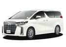 Ворсовые коврики на Toyota Alphard (H30) 2015 - 2023 в Самаре