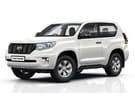 EVA коврики на Toyota Land Cruiser Prado 150 2009 - 2023 в Самаре