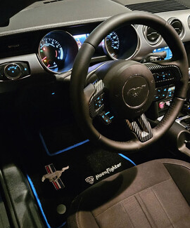 Ворсовые коврики на Ford Mustang VI 2013 - 2023 в Самаре Ворсовые коврики на Ford Mustang VI 2013 - 2023 в Самаре